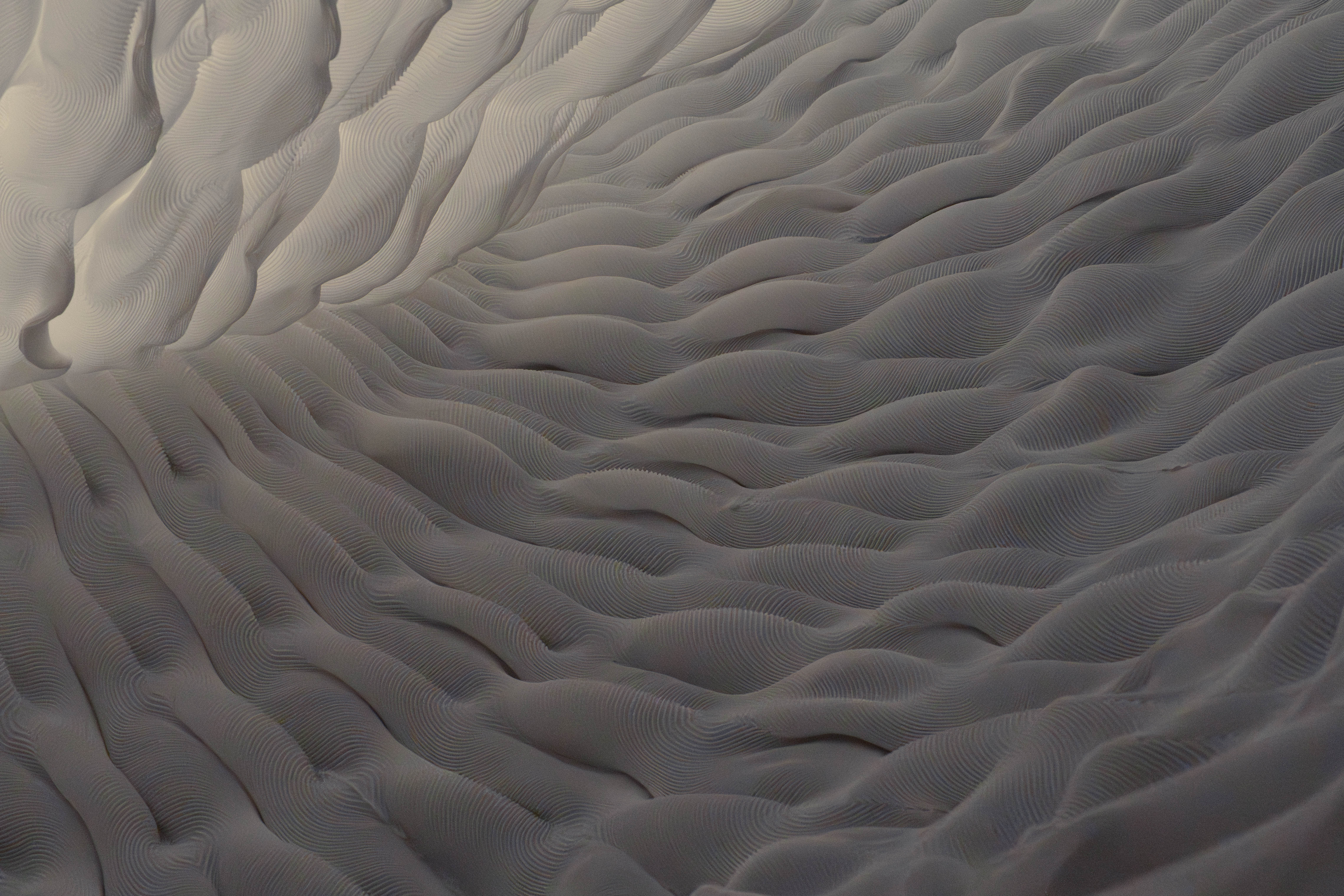 forming patterns for FTW2025 image 4