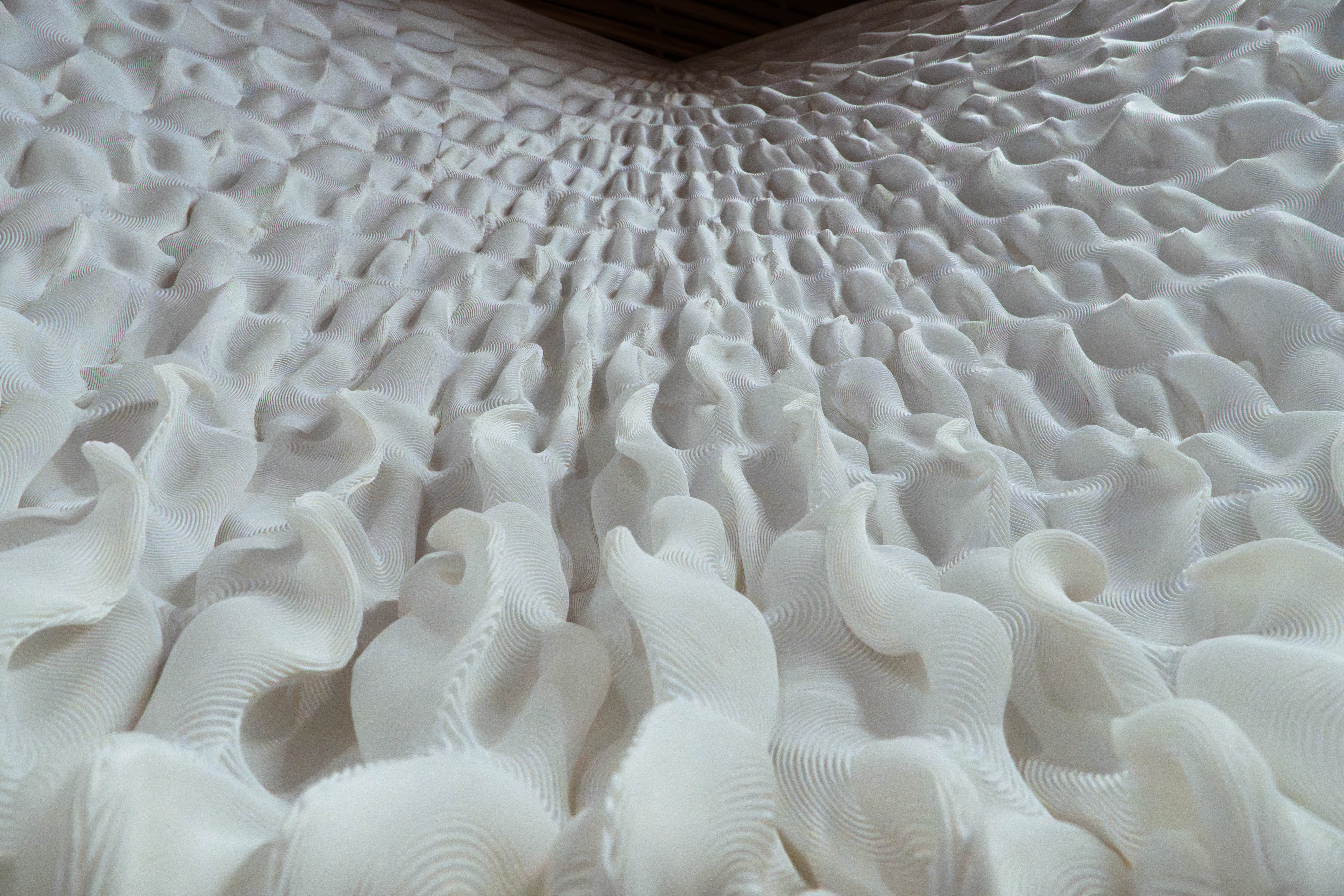 forming patterns for FTW2025 image 5